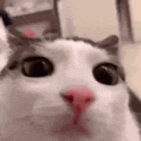 He stare